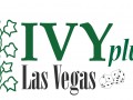 Vegas Ivy Plus & The Penn Club – Networking Mixer – February 4, 2015